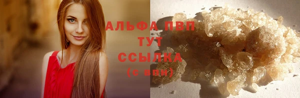 стафф Краснотурьинск