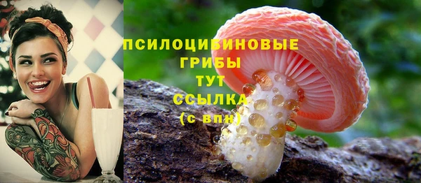 первитин Инта