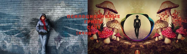 бошки Алзамай