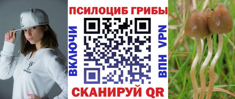 Псилоцибиновые грибы прущие грибы Куровское
