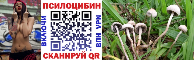 Псилоцибиновые грибы прущие грибы  цены   Куровское 